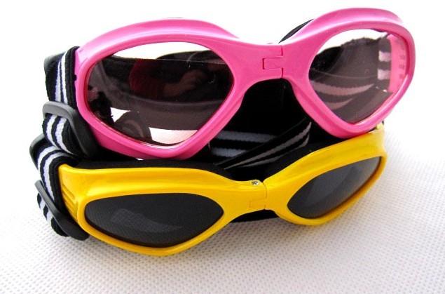 adjustable Pet eyewearɵڹ̫